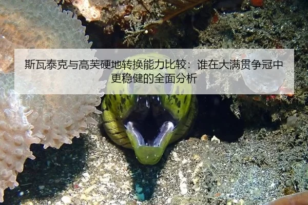 斯瓦泰克与高芙硬地转换能力比较：谁在大满贯争冠中更稳健的全面分析