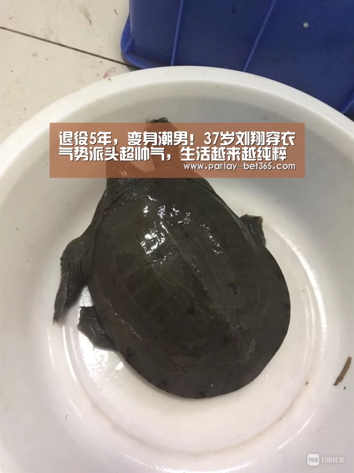 退役5年,变身潮男!37岁刘翔穿衣气势派头超帅气,生活越来越纯粹‘bet365 app下载’(图1) bet365 app下载